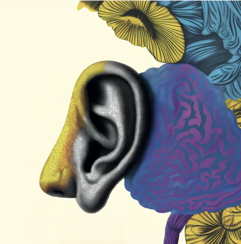 60e Congrès de l'AMUB